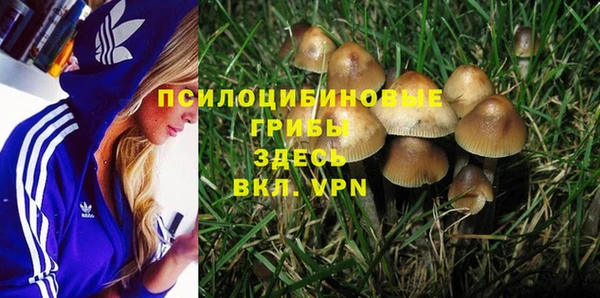 тгк Россошь