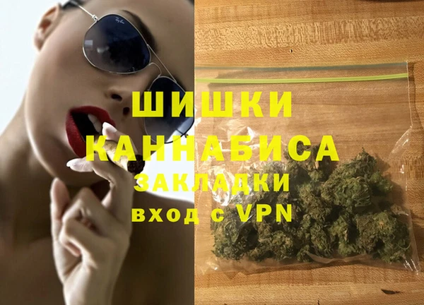 молекула духа Богданович