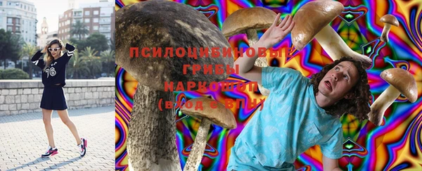молекула духа Богданович