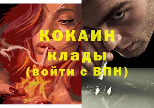 молекула духа Богданович