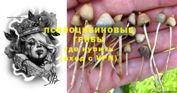 тгк Россошь